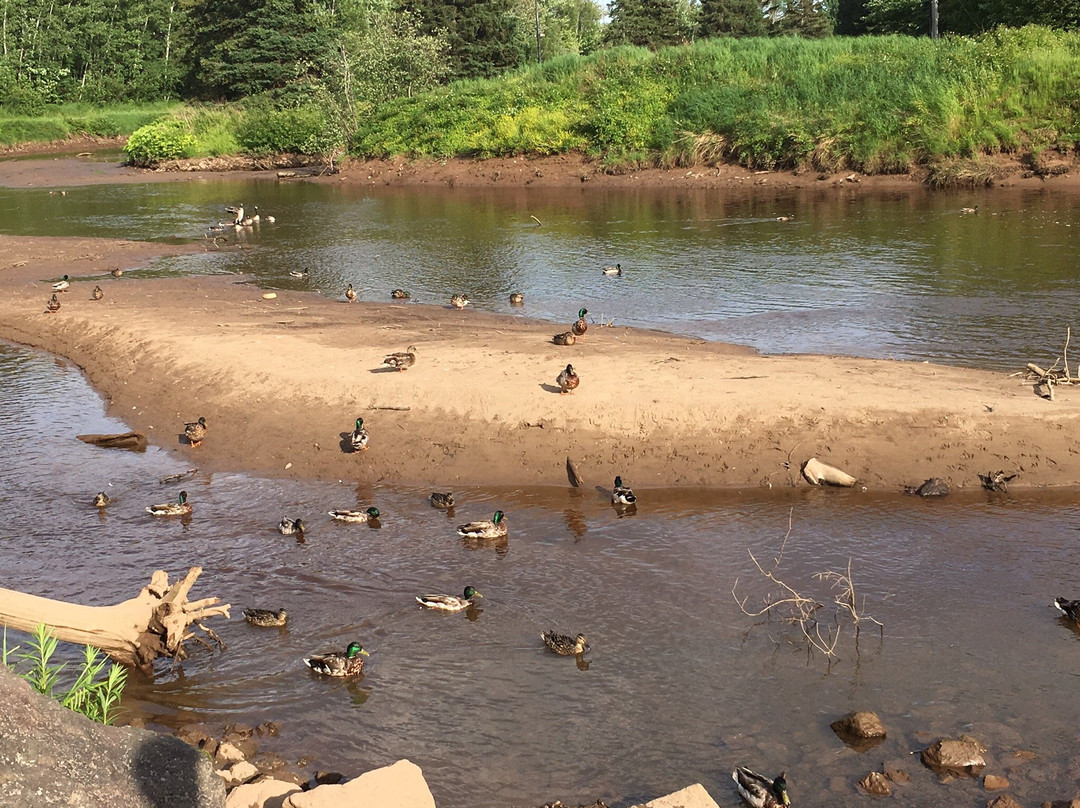 Centennial Park-蒙古顿必去景点