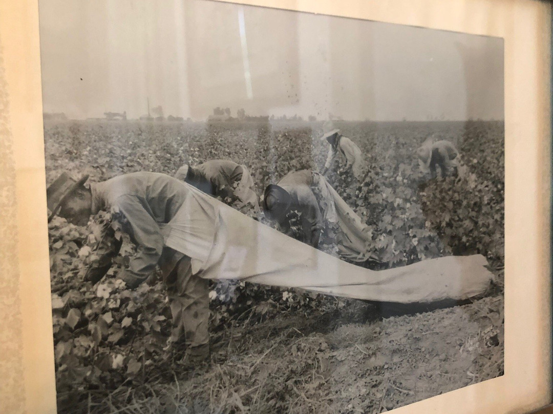 Hill County Cell Block Museum-Hillsboro必去景点