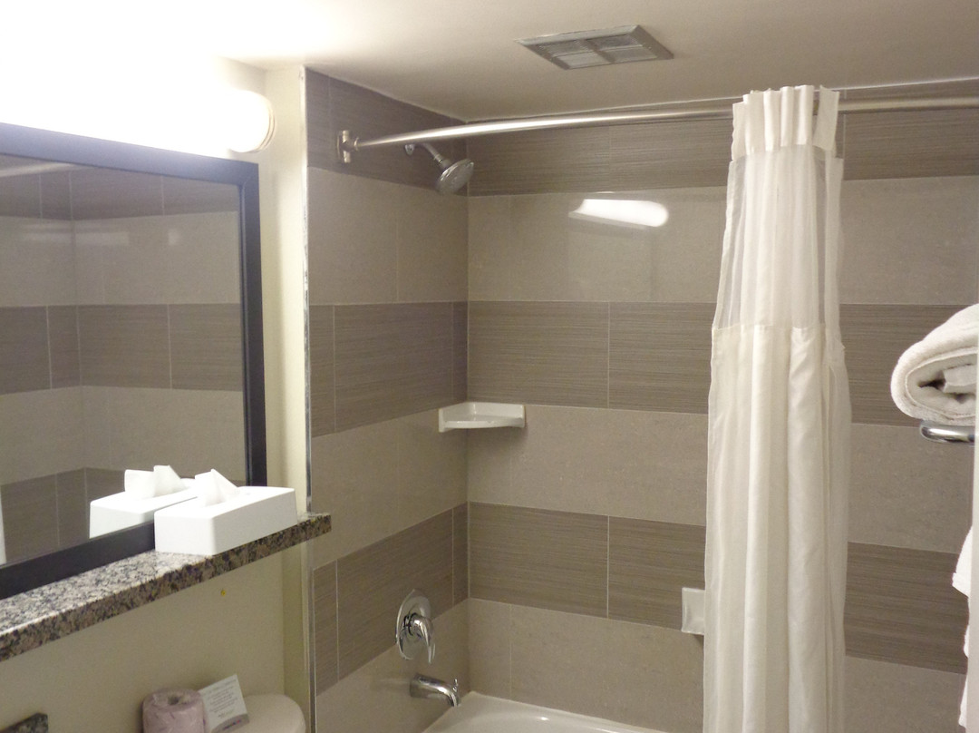 Comfort Inn Airport West主图