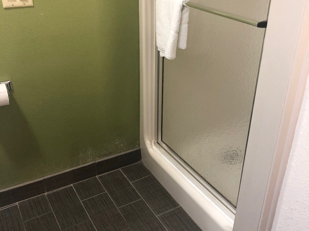 Sleep Inn & Suites Cullman I-65 Exit 310主图