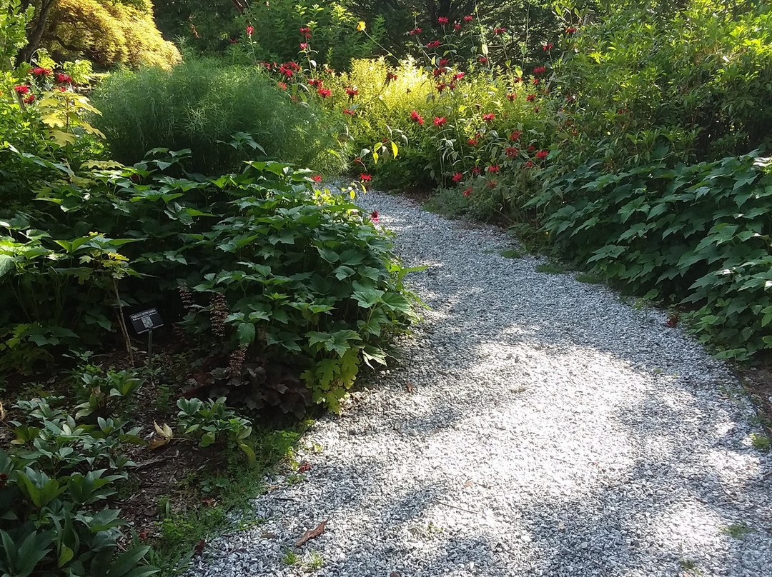 Bullington Gardens景点图片
