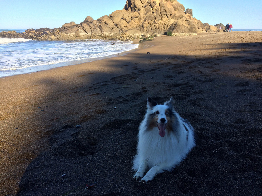 Fogarty Creek State Recreation Area-Depoe Bay必去景点