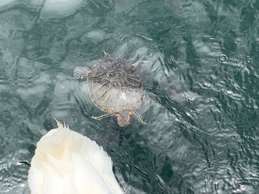 Lakeway Marina-Lakeway必去景点