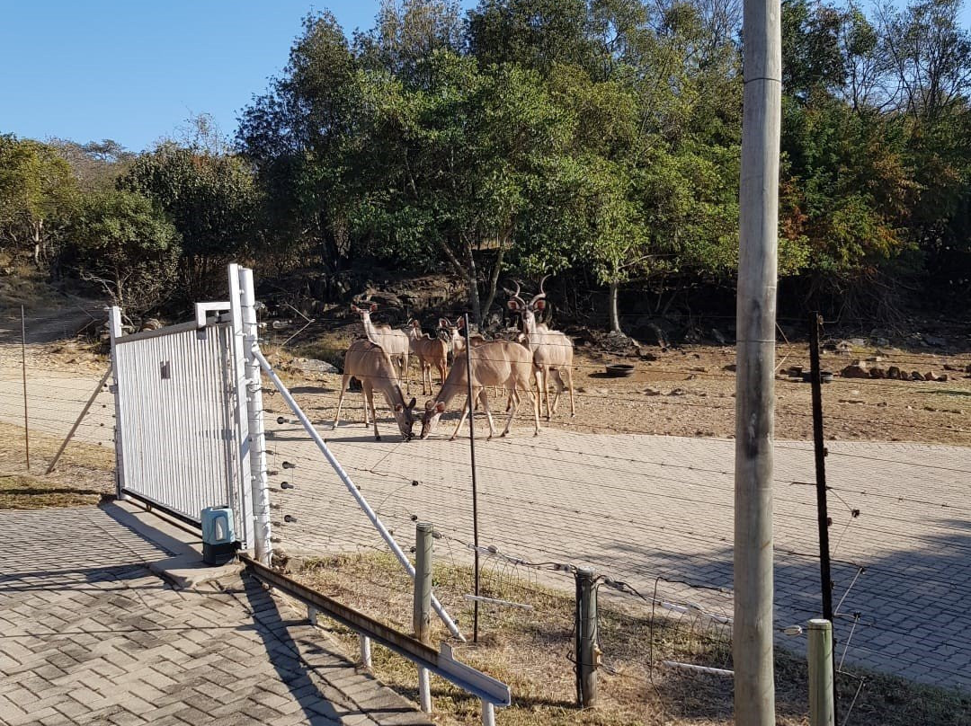 Wokini Guest House主图