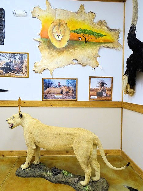 The Spear Hunting Museum-Summerdale必去景点