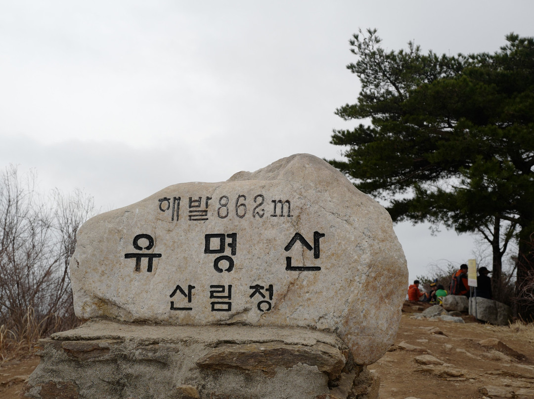 Yumyeongsan Mountain-杨平郡必去景点