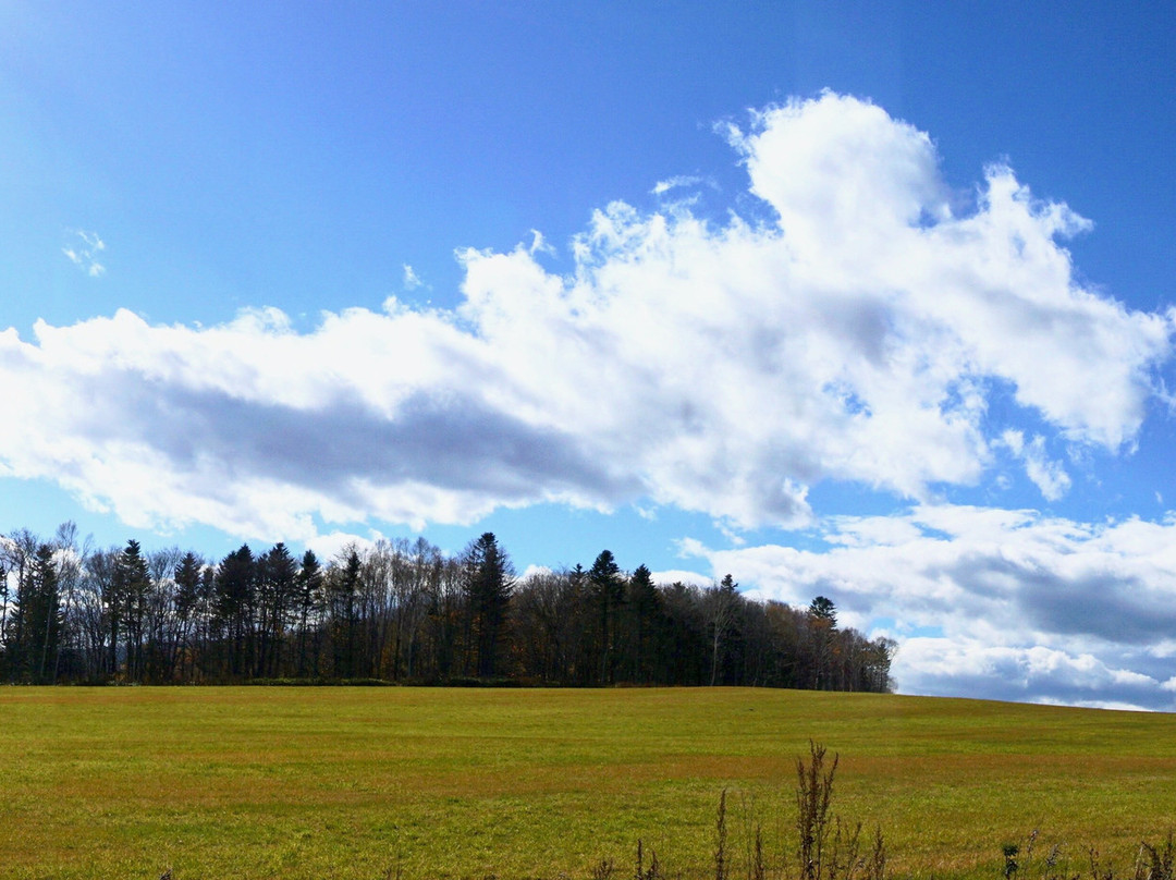 Taihei Highland Ranchs-远轻町必去景点