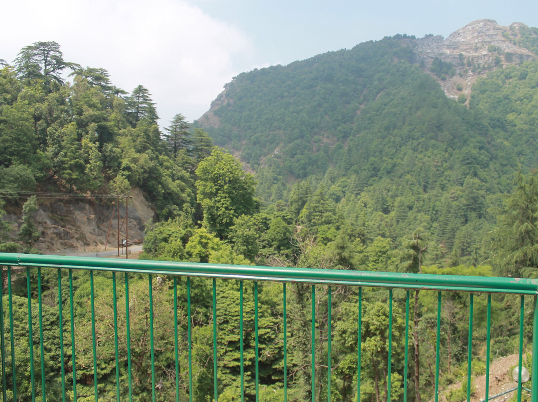 Seegreen Lodges主图