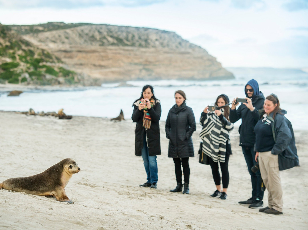 Kangaroo Island Odysseys景点图片