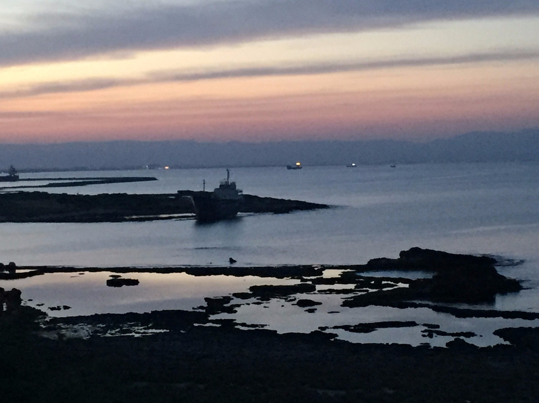 Arkin Palm Beach Hotel主图