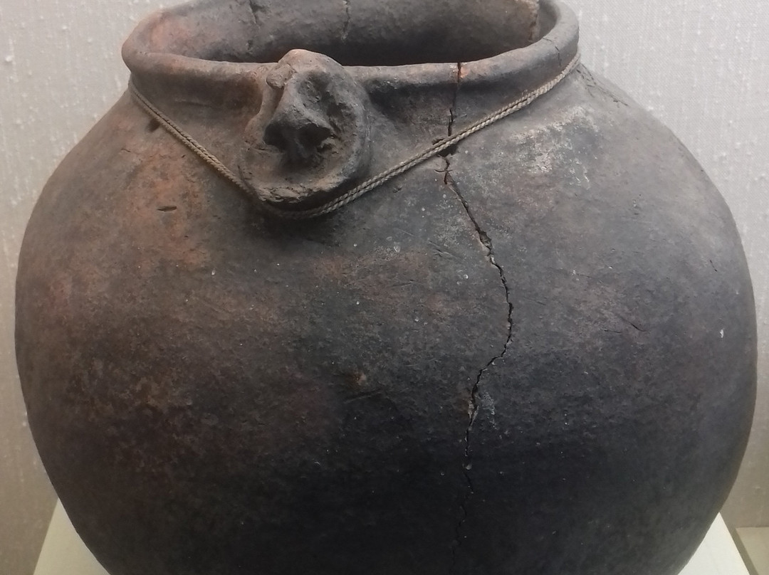 Musee de Nouvelle Caledonie-努美阿必去景点