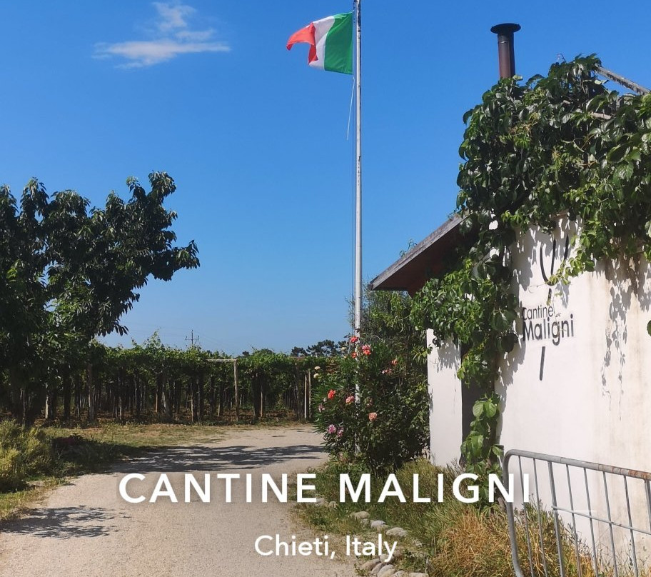 Cantine Maligni景点图片