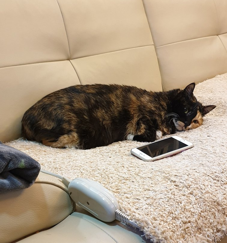 Suanbo Saipan Hot Spring Hotel主图