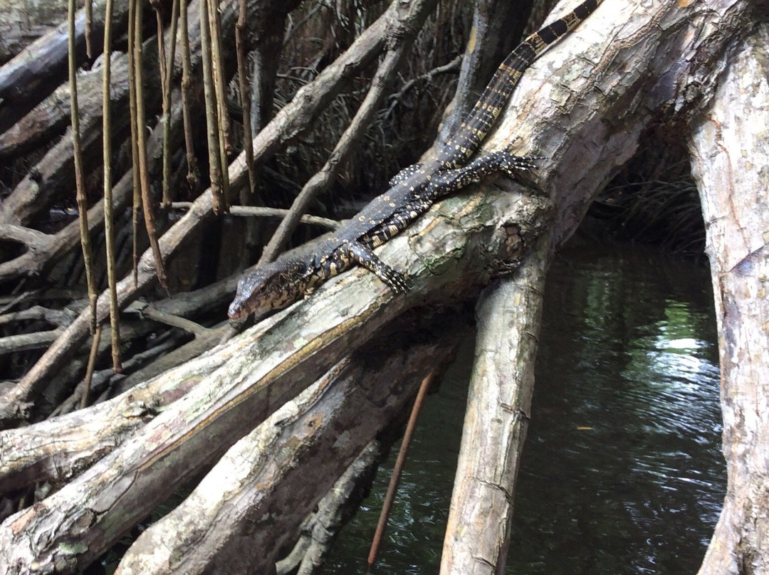 Day Tours Sri Lanka-班托塔必去景点