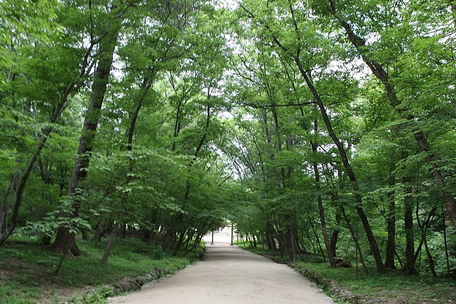 Gwangneung Royal Tombs-南杨州市必去景点