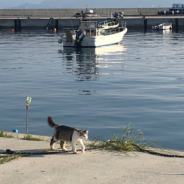 Nitoda Port-石卷市必去景点