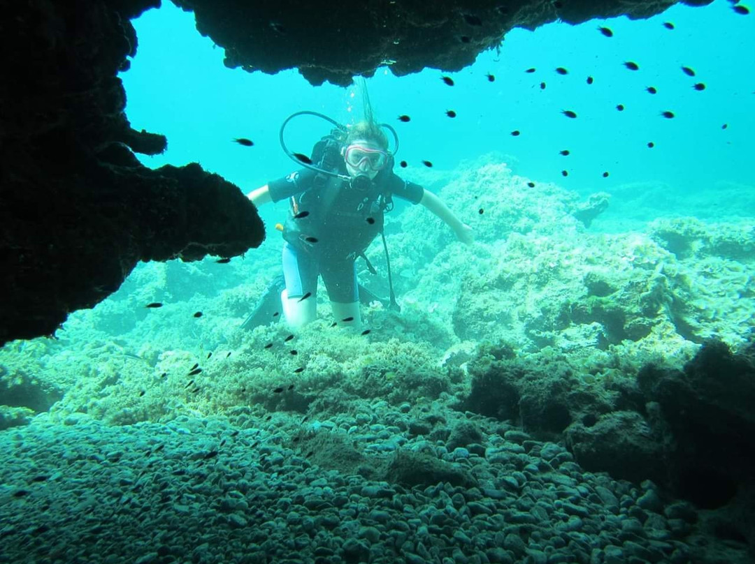 Starfish Diving Cala Millor-卡拉米略尔必去景点