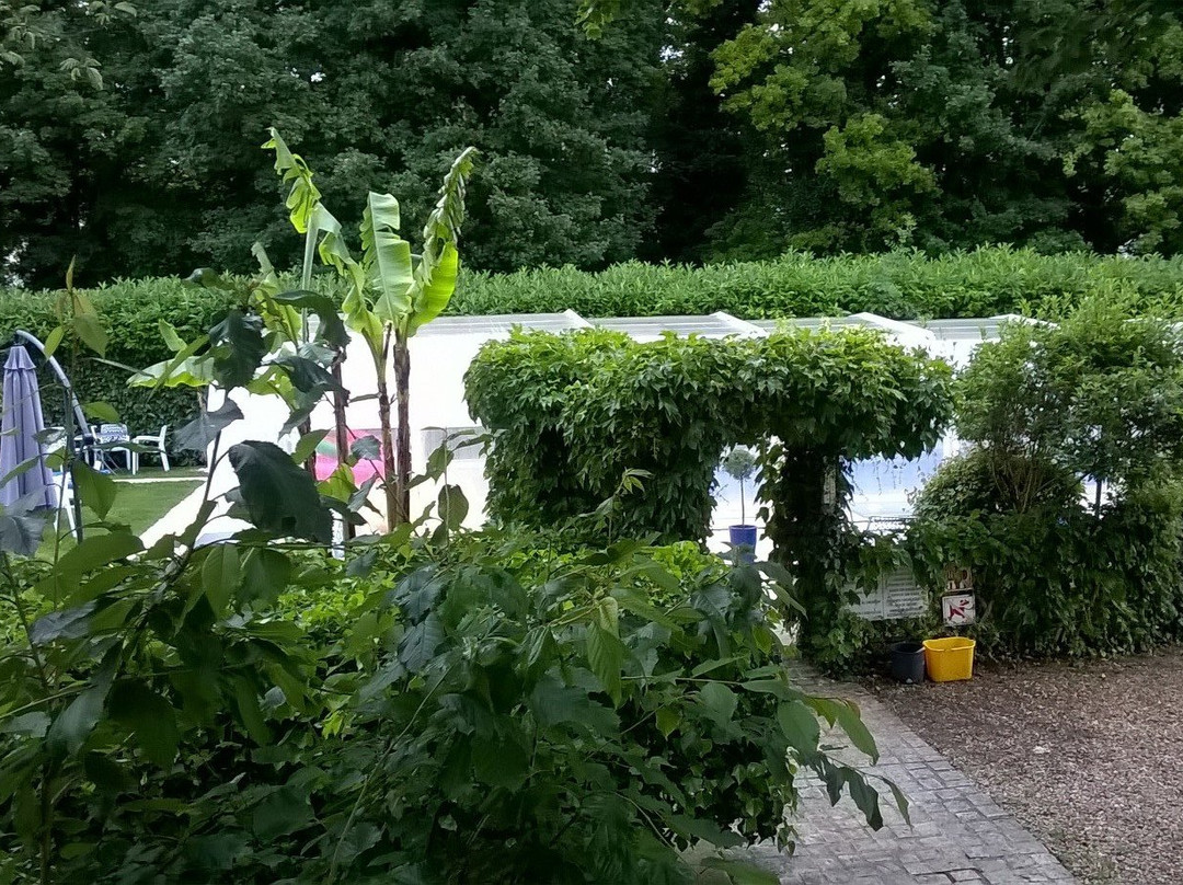 阿丽亚娜之家酒店主图