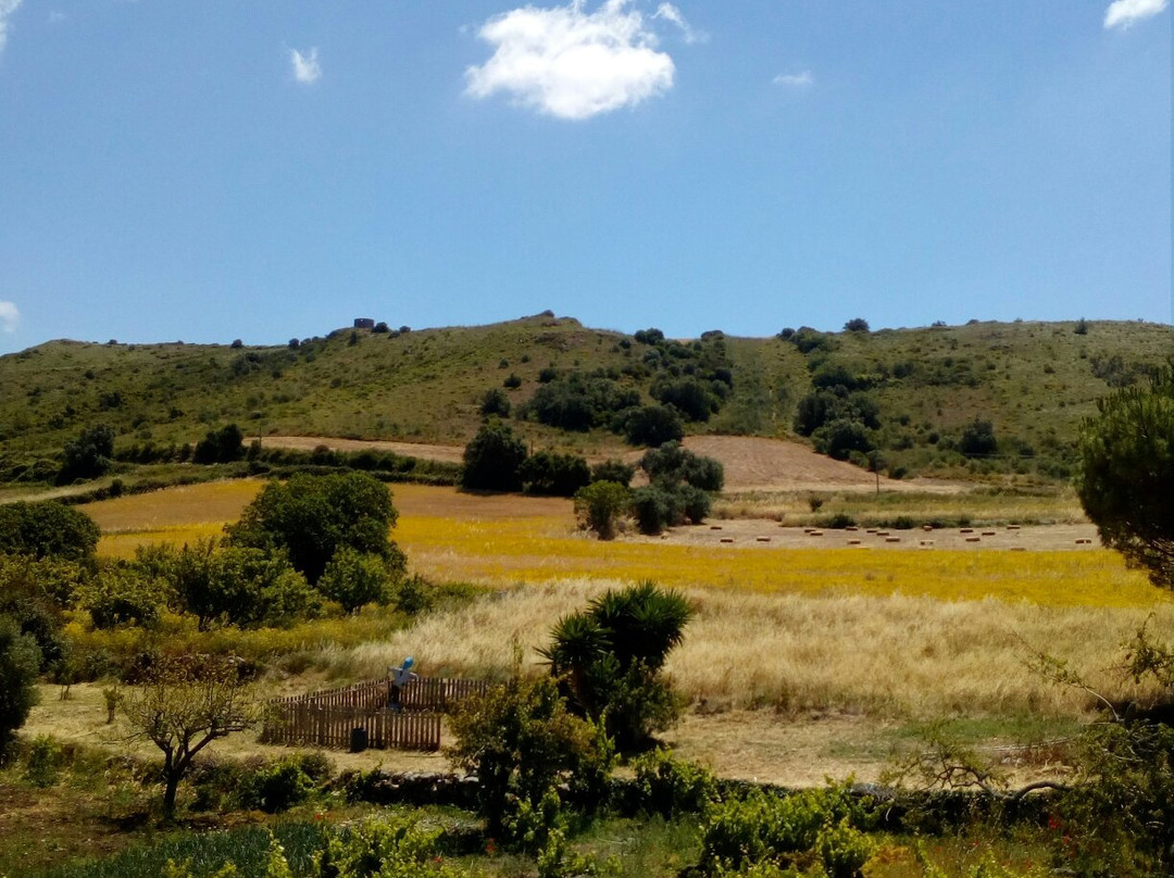 Aldeia Da Mata Pequena景点图片