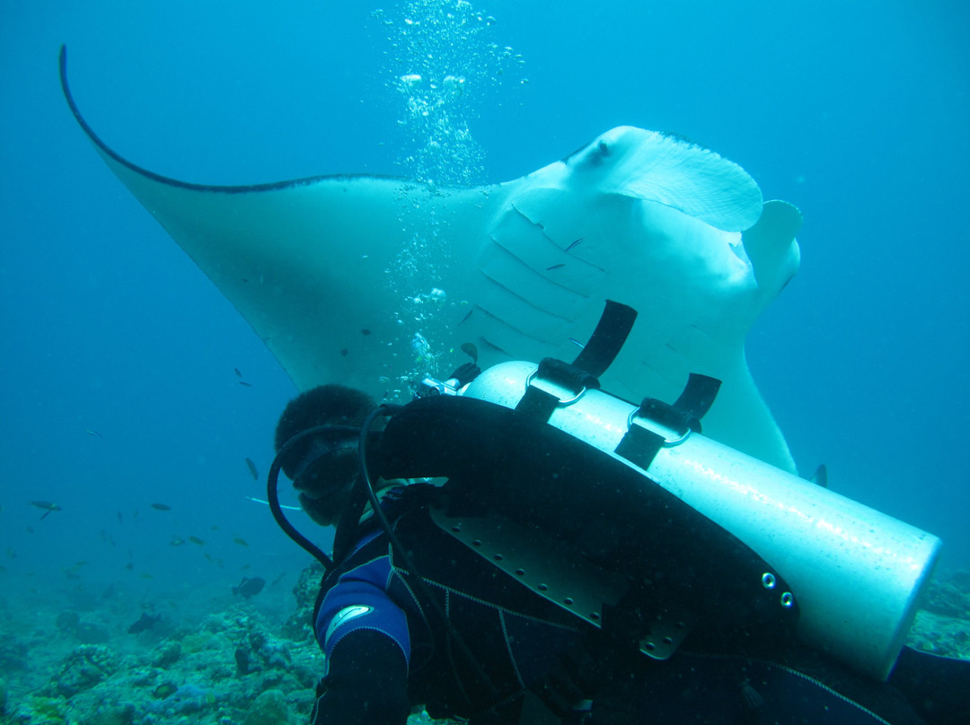 Perfect Voyage-马累必去景点