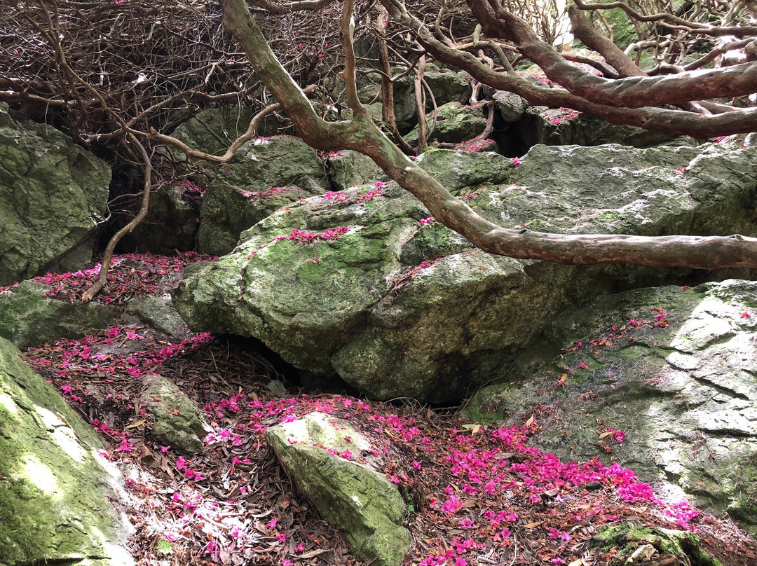 Howth Walking Tours-霍斯必去景点