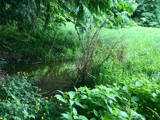 Guillemot Cove Nature Preserve-Seabeck必去景点