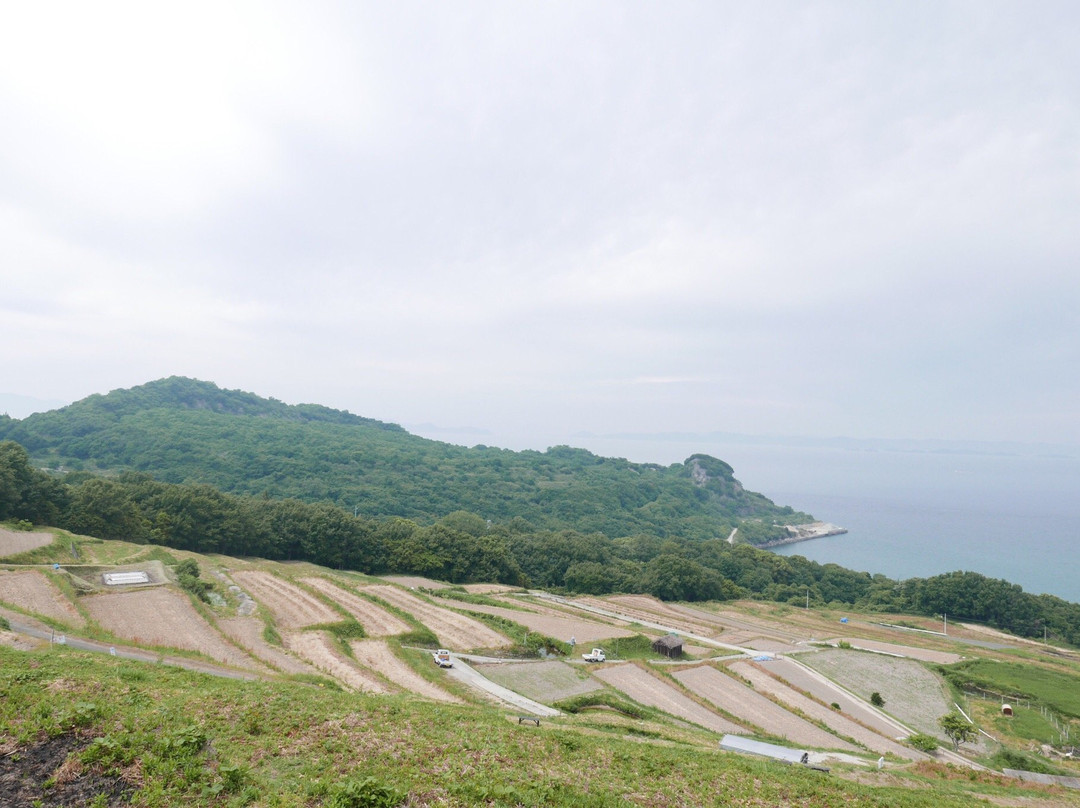 Teshima Terraced Rice Field Project景点图片