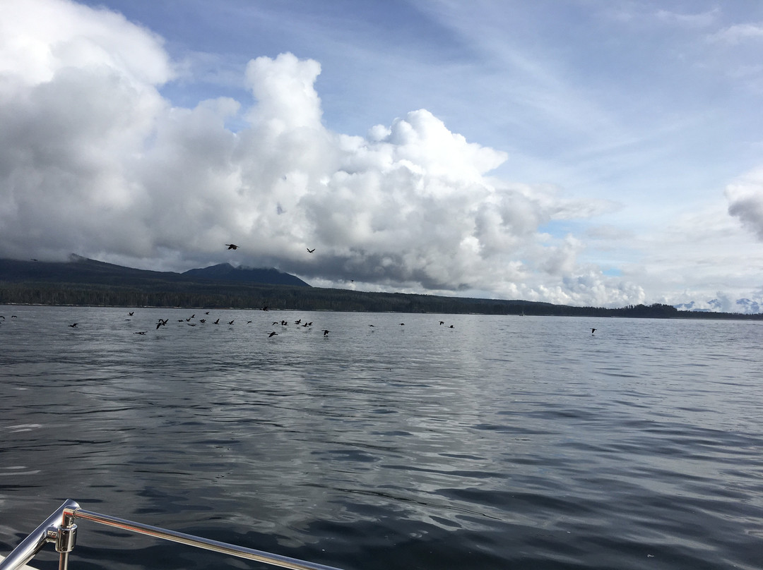 A Whale's Song Expeditions-锡特卡必去景点