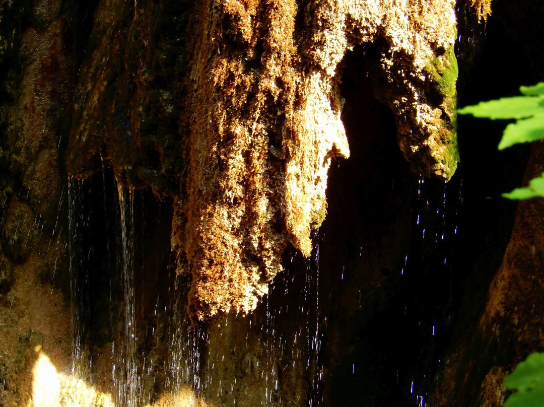 Gießenbachklamm-Kiefersfelden必去景点