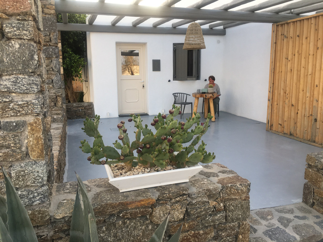 Olive Mykonos Villas主图