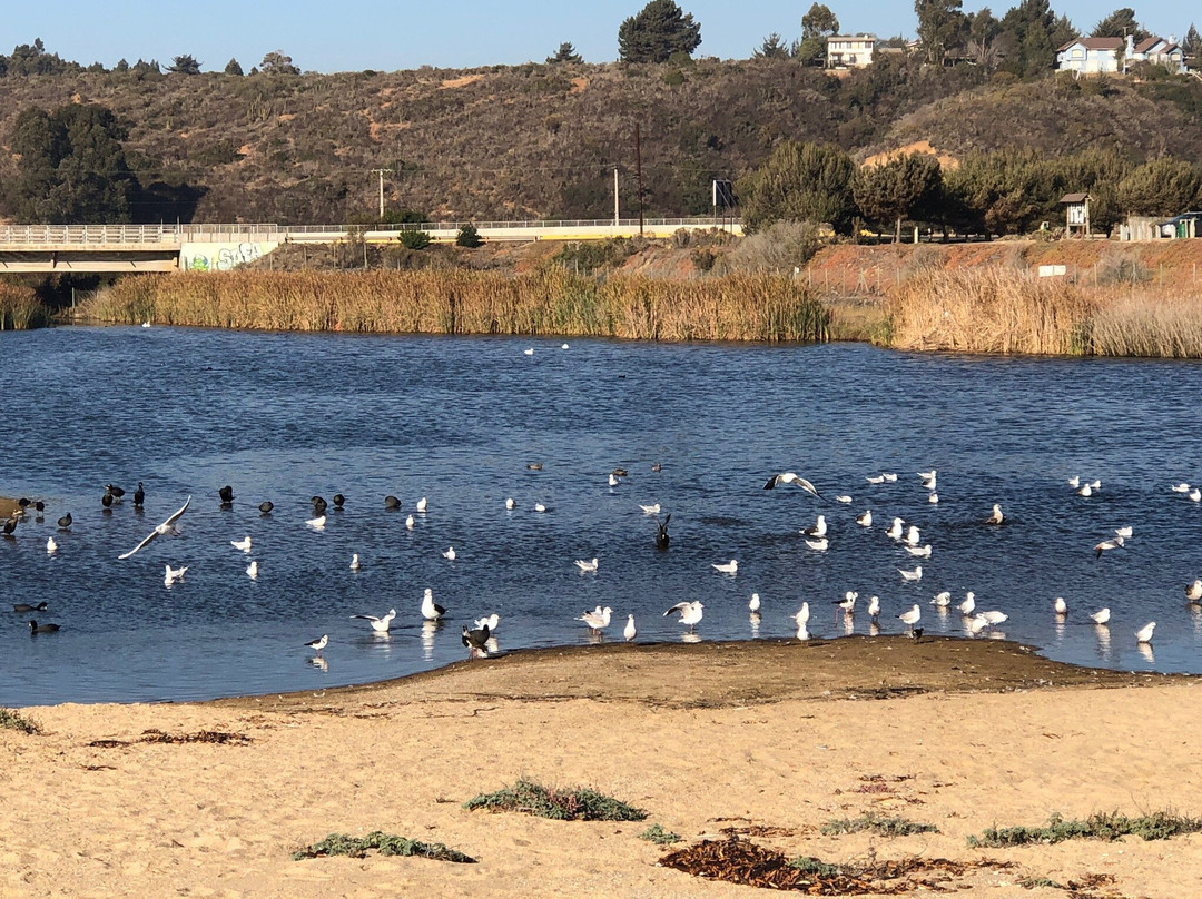 Sanctuary Laguna el Peral-Isla Negra必去景点