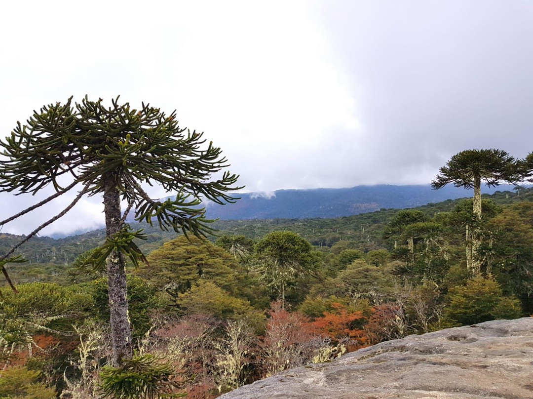 Nahuelbuta Adventure-Canete必去景点