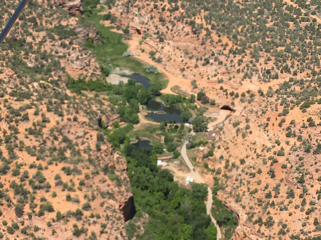 Pioneer Aviation-卡纳布必去景点