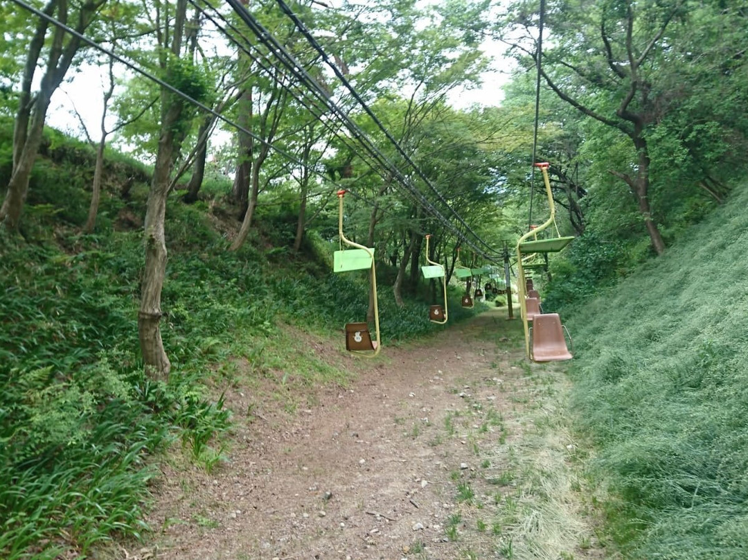 Myoken Shrine-鸣门市必去景点