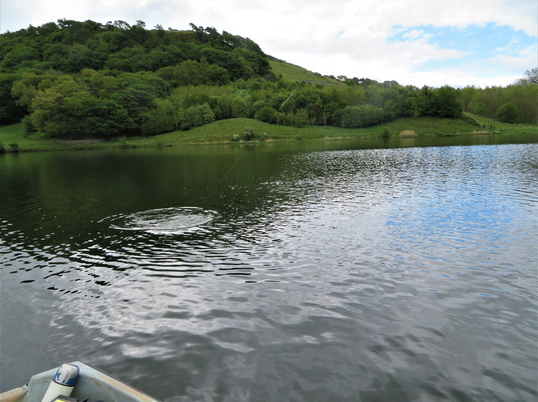 Stenhouse Fly Fishery景点图片