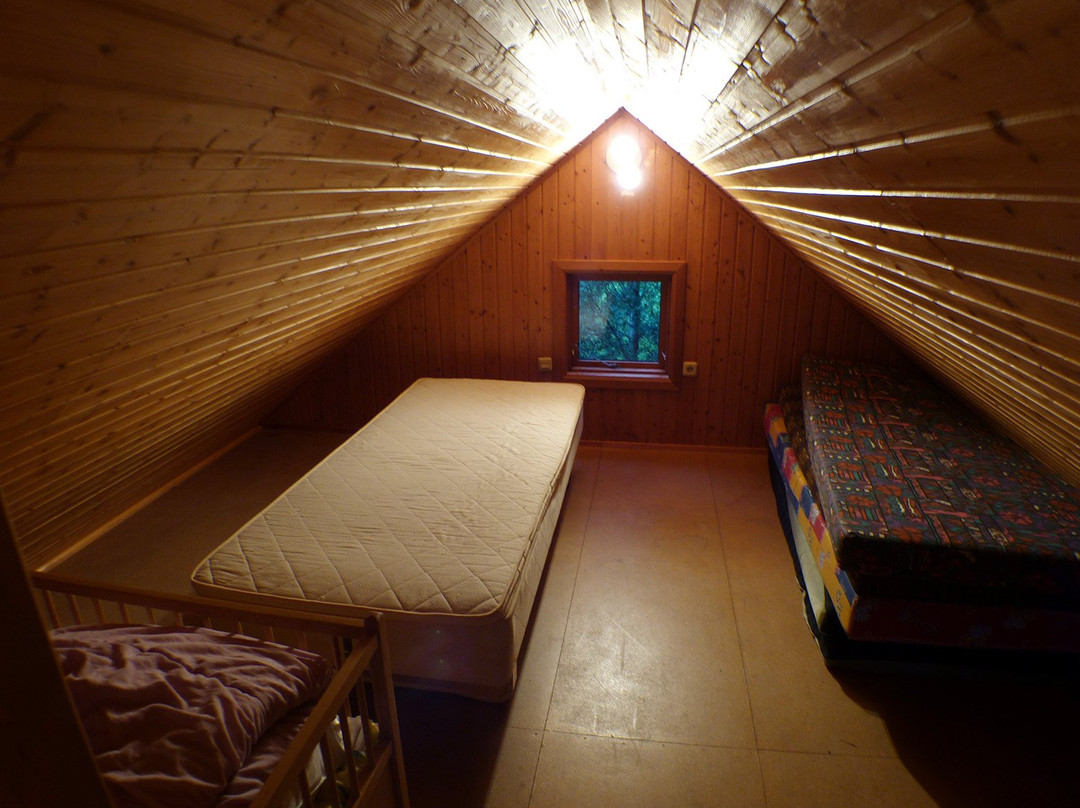 Ásólfsskáli Cottage主图