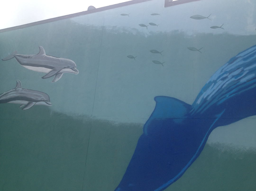 Whaling Wall景点图片
