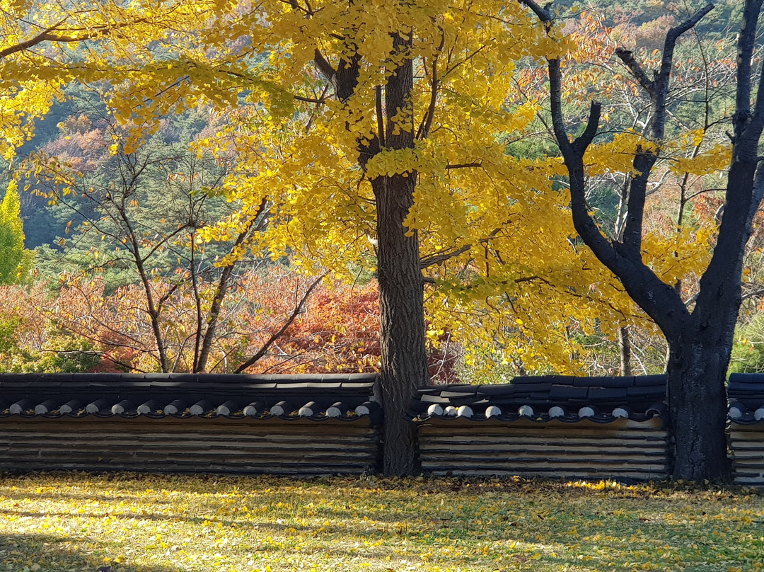 Sudeoksa Temple-礼山郡必去景点