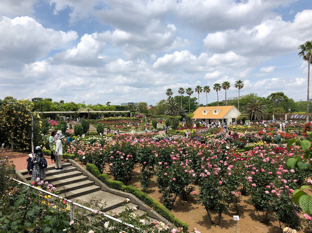 Yatsu Rose Garden-习志野市必去景点