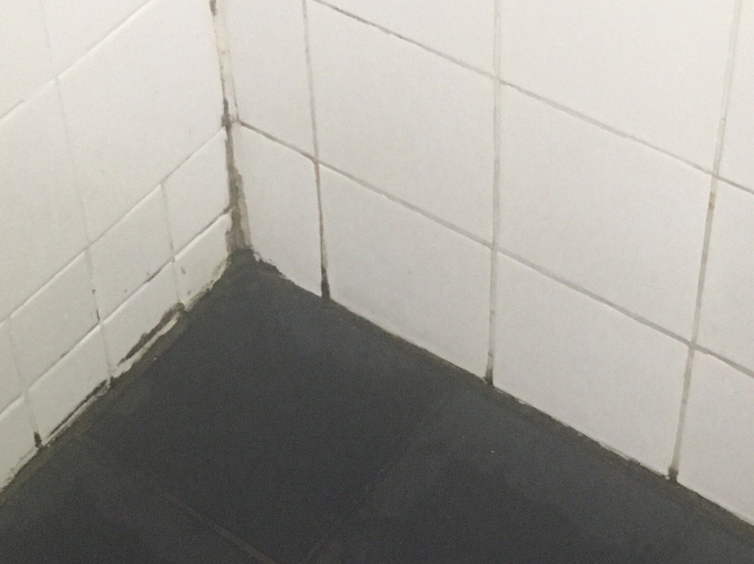 Taree Highway Motor Inn主图