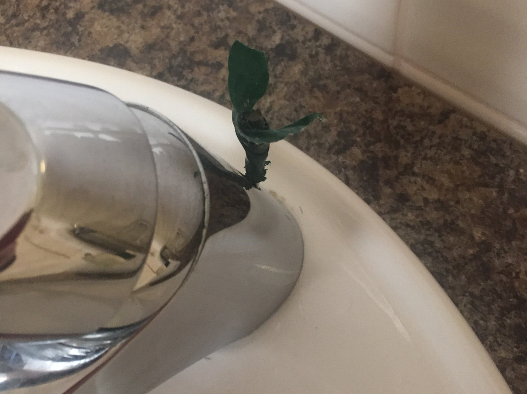 Ashford Court Boutique Hotel主图