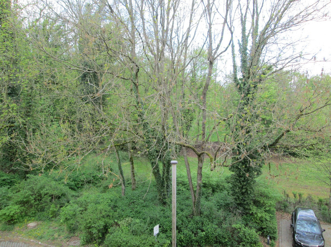 Hotel Jagdschloss Letzlingen主图