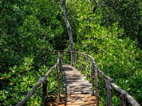 Revive Adventures-瓦塔木必去景点