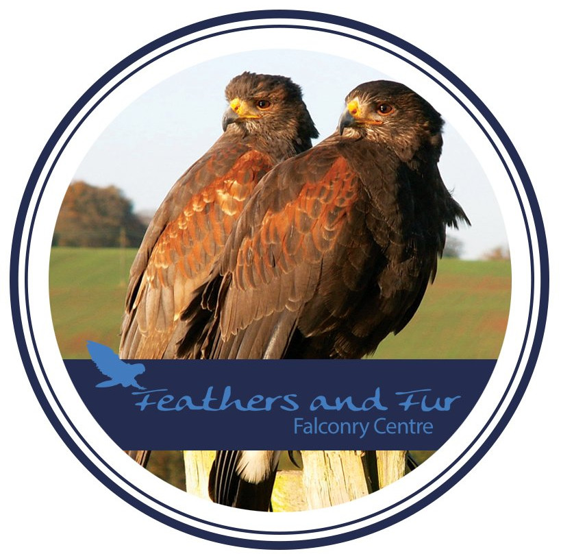 Feathers and Fur Falconry Centre景点图片