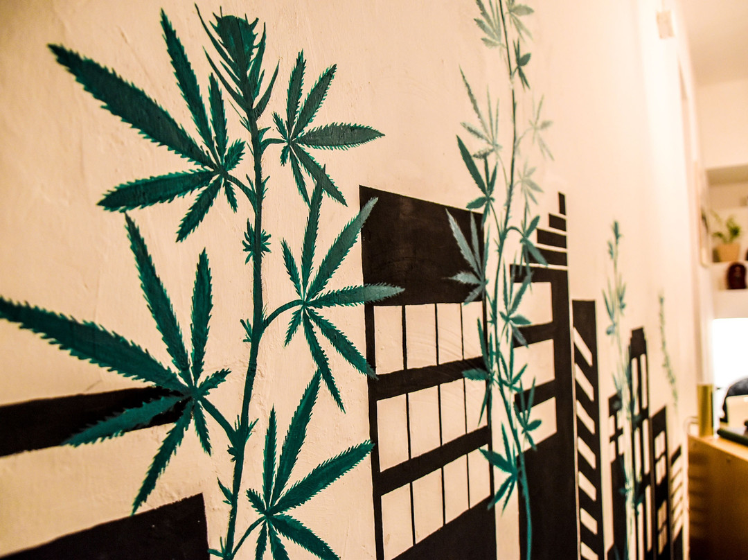 Hemp Way Shop景点图片