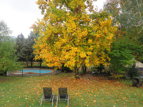 Bright Mystic Valley主图