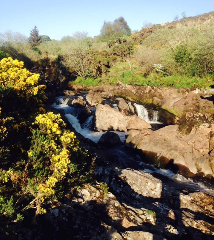 Carrick River Walk-Carrick必去景点
