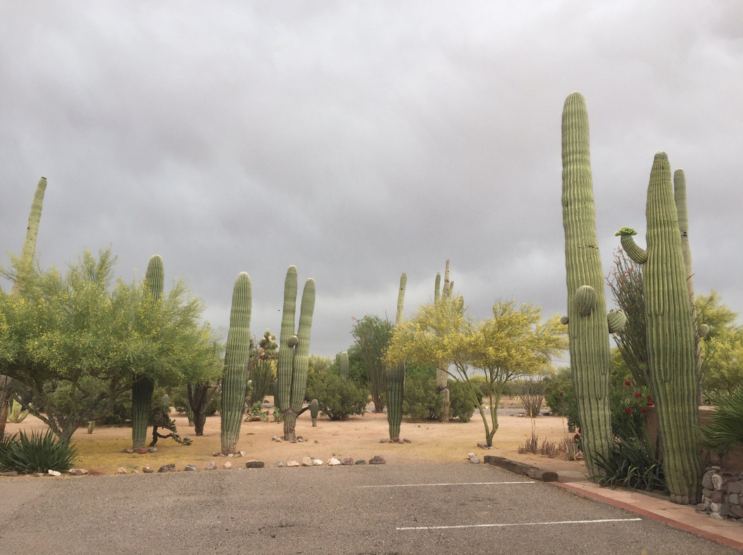 Rancho Sonora Inn主图