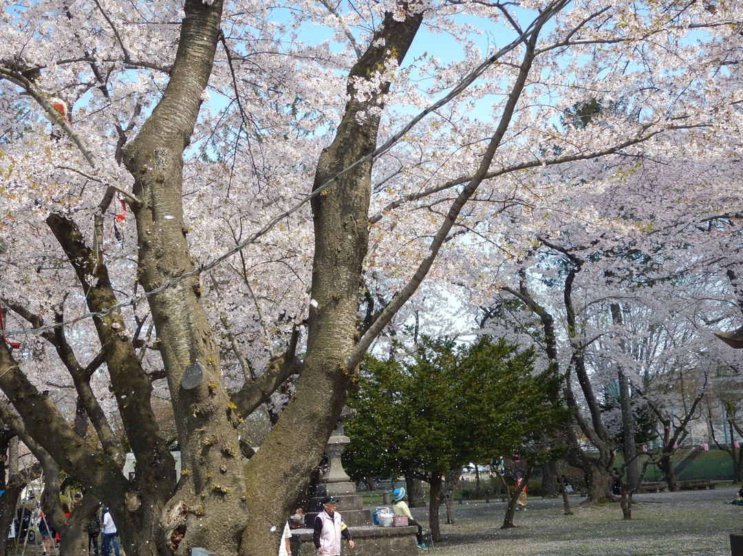 纽约中央公园-十和田市必去景点