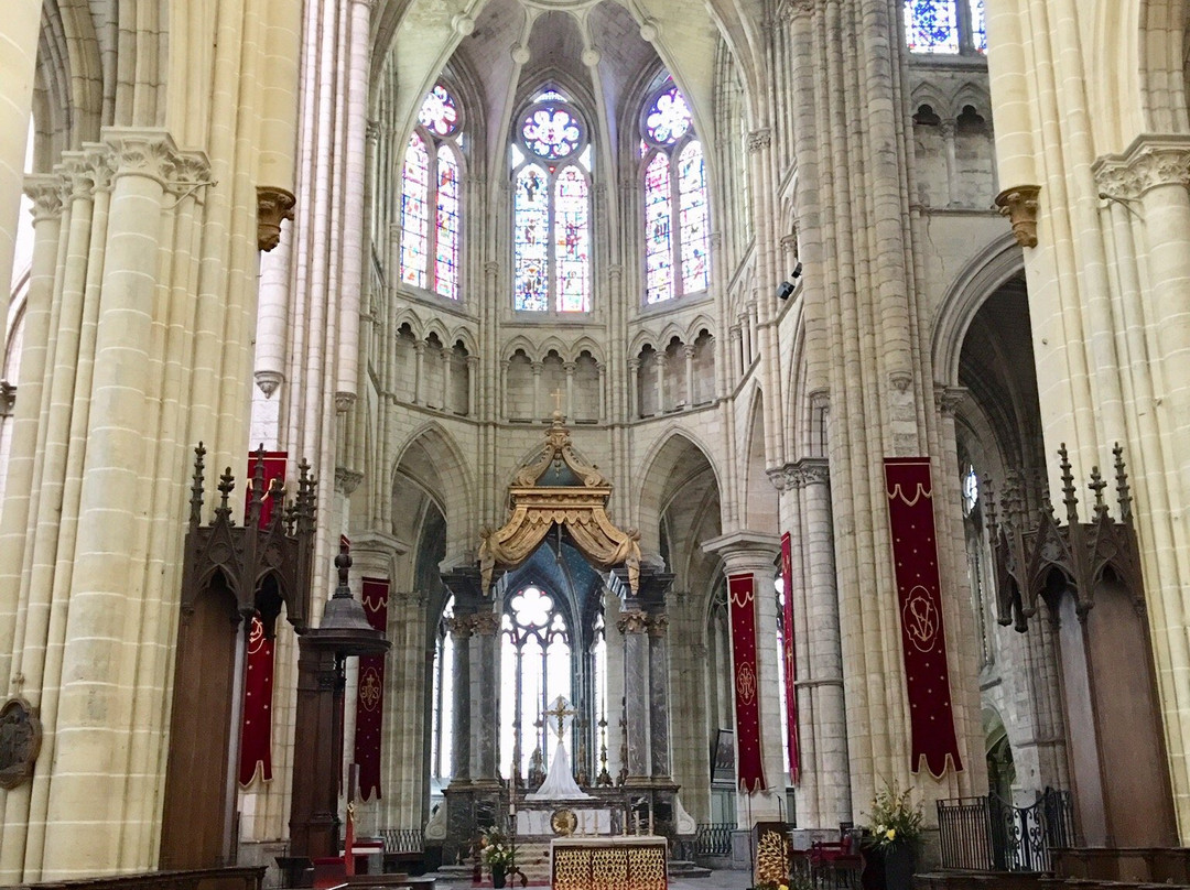 Cathédrale Saint-Étienne de Châlons景点图片